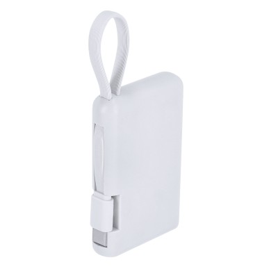 Brandin - 2000 mAh. Typ C Ausgänge und Eingang