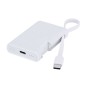 Brandin - 2000 mAh. Typ C Ausgänge und Eingang Brandin - 2000 mAh. Typ C Ausgänge und Eingang