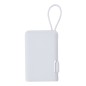 Brandin - 2000 mAh. Typ C Ausgänge und Eingang Brandin - 2000 mAh. Typ C Ausgänge und Eingang