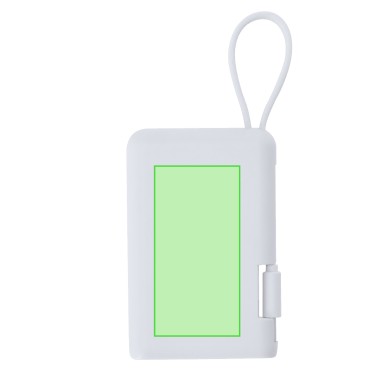 Brandin - 2000 mAh. Typ C Ausgänge und Eingang