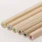 Osprey - 6 Crayons | Carton Osprey - 6 Crayons | Carton