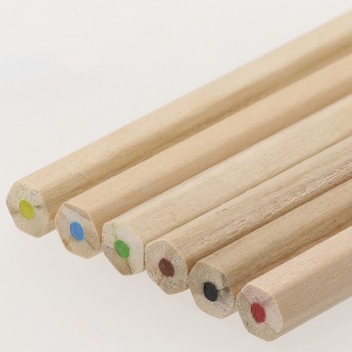 Osprey - 6 Crayons | Carton