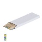 Siskin - 4 Crayons | Carton