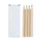 Siskin - 4 Crayons | Carton