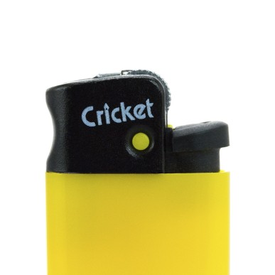 Minicricket
