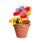 Mussox - Fleurs Sauvages | Carton Recyclé