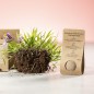 Mussox - Fleurs Sauvages | Carton Recyclé