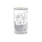 Anymak - Graines de Cactus Incluses | Verre Borosilicate/ Liège