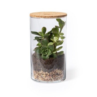 Anymak - Graines de Cactus Incluses | Verre Borosilicate/ Liège