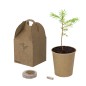 Vencor - Pépins de Pin Inclus | Carton Recyclé
