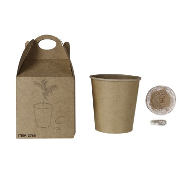 Vencor - Pépins de Pin Inclus | Carton Recyclé