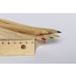 Dragon - 6 Stifte | Holz