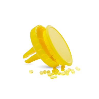 Scrib - Arôme Citron