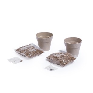 Nertel - 2 Pièces. Graines Incluses | Pot Biodégradable
