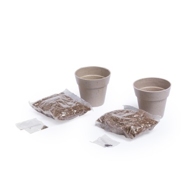 Nertel - 2 Pièces. Graines Incluses | Pot Biodégradable