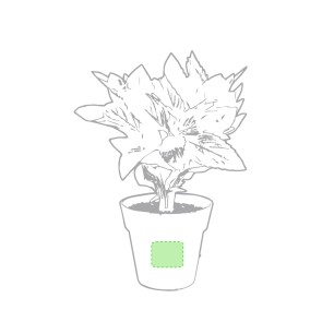 Nertel - 2 Pièces. Graines Incluses | Pot Biodégradable
