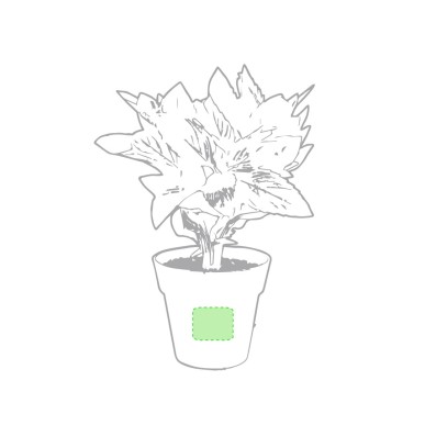 Nertel - 2 Pièces. Graines Incluses | Pot Biodégradable