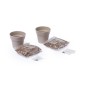 Nertel - 2 Pièces. Graines Incluses | Pot Biodégradable