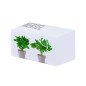 Nertel - 2 Pièces. Graines Incluses | Pot Biodégradable