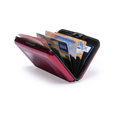 Rainol - Protecteur RFID. 6 Compartiments | Aluminium