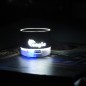 Viancos - Led Lichter. Bluetooth Anschluss. Schallleistung 3W. Batterie 300 mAh