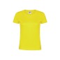 WCS180 - 100% Baumwolle Ring Spun, Single Jersey 180 g/ m2